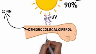 Aula 6 Metabolismo Osteomineral  PTH Vitamina D e Paratohormônio [upl. by Hetti413]