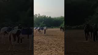 Horse riding at Sukhovi  Nagaland [upl. by Timoteo209]