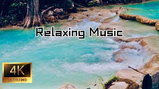 4k Relaxing Music with Birds Singing amp Water Sounds  Ideal for Stress Relief Sleep Meditation [upl. by Mercedes]