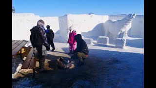 Au Canada le plus grand labyrinthe de neige du monde attire les touristes [upl. by Darill]