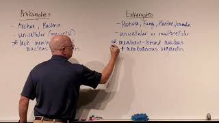 Microbiology Ch 4 Prokaryotes vs Eukaryotes [upl. by Leonardi]