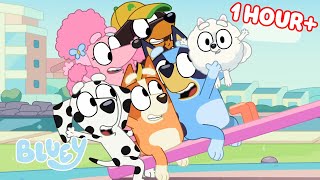 Bluey Seasons 1 and 2 FULL EPISODES 💙 Baby Race Movies Seesaw and more  Bluey [upl. by Leinto]