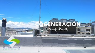 COGENERACIÓN generar energía eléctrica [upl. by Ambros]