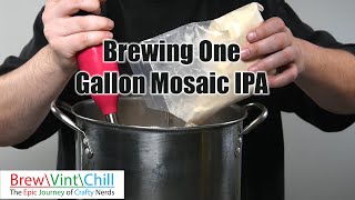 Brewing One Gallon Mosaic IPA Brewers Best [upl. by Doro305]