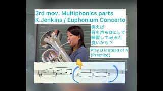 KJenkins  Euphonium Concerto III楽章の重音 [upl. by Lenneuq]