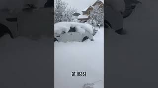 Average Winter Day In Colorado shorts funnyshorts coloradotravel wintershorts [upl. by Wendeline]