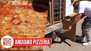 Barstool Pizza Review  Andiamo Pizzeria Scottsdale AZ [upl. by Yokoyama]