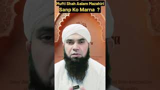 Mufti Shah Aalam Mazahiri Sanp Ko Marna Kesa h [upl. by Boone371]