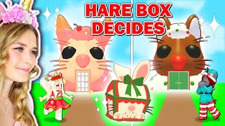 NEW Hare Box DECIDES What We BUILD In Adopt Me Roblox [upl. by Letta]