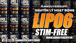 LIPO 6 STIM FREE NUTREX NGUYÊN LÝ HOẠT ĐỘNG [upl. by Eisinger]