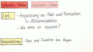 Das Auge  scharfes Sehen räumliches Sehen  Biologie  Humanbiologie [upl. by Elson]