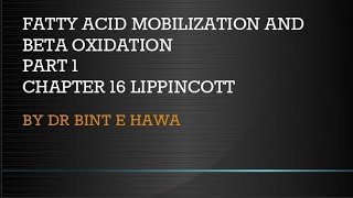 Beta oxidation of Fatty acids  Chapter 16 Biochemistry made easy by Dr Bint e Hawa [upl. by Maisie]