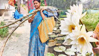 গোয়াল পুজোর জন্য মাঠে শাপলা তুলতে গেলামআখের বাগান থেকে দুটো বড়ো বড়ো আখ নিয়ে এলাম [upl. by Nnyliram]