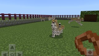 A zoo in Minecraft [upl. by Lisle]