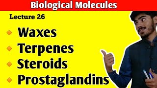 Waxes  Terpenes  Steroids  Cholesterol  Prostaglandins  Lipids Class 11  Class 11 Biology [upl. by Nrublim]