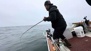 Rock fishing for halibut [upl. by Eneluj]