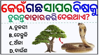 odia gk  odia top 10 gk  genaral knowledge questions odia  odia gk questions and answers 2023 [upl. by Neros]