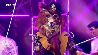 Masked Singer România Vulpoiul a atins cele mai înalte note pe melodia “Loco Contigo” [upl. by Rehpotirhc]