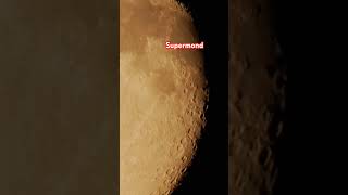 Supermond MoonLover MoonPhases celestial Stargazing nature wildlife [upl. by Nomla]