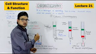 Chromatography and its types  Paper and Column Chromatography  Video 21 [upl. by Nasar]