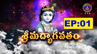 Srimad Bhagavatham  Sri Seshacharyula  Ep 01  20112024  SVBC TTD [upl. by Leirbag168]