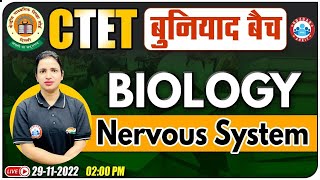 Nervous System  तंत्रिका तंत्र  Biology For CTET  CTET Biology Classes14  CTET 2022 बुनियाद बैच [upl. by Zelazny]