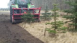 Fendt mit forstmulcheralte Weihnachtsbaumplantage mulchen [upl. by Yedarb]