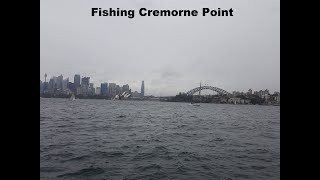 Fishing Cremorne point Sydney harbour [upl. by Newsom]