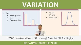 Variation  Post 16 Biology A Level PreU IB AP Bio [upl. by Augy]