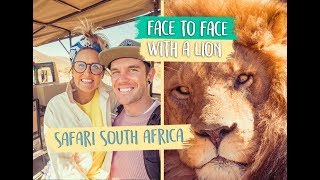 INCREDIBLE AFRICAN SAFARI 🦁CAPE TOWN SOUTH AFRICA [upl. by Lanoil]