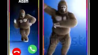 Color Flash Launcher  Dancing Gorilla 2018 [upl. by Jestude]