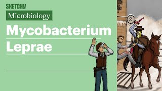 Mycobacterium Leprae Microbiology  USMLE Step 1  Sketchy Medical [upl. by Orling55]