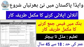 Wapda New Jobs 2024  Complete Process of Online Applying to Wapda amp Fee Submit Process Online 2024 [upl. by Hoes]