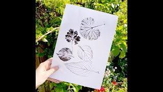 Printing with Leaves [upl. by Belac]