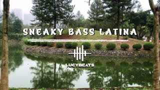 Sneaky Bass Latina  Smooth Study Session Jazz Music for Concentration  Ep94 [upl. by Dale988]