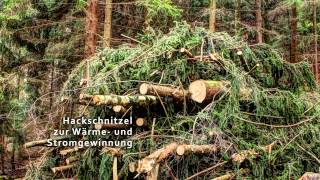 Dokumentation Hackschnitzelproduktion  vom Wald bis ins Heizkraftwerk [upl. by Rimat389]