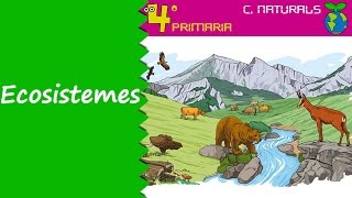 Ciències de la Naturalesa 4t Primària Tema 5 Els ecosistemes [upl. by Erdnael832]