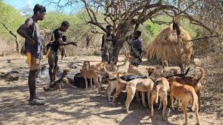 How Tanzanian Bushmen takes care of their 30 Dogs 🐕 [upl. by Amery605]