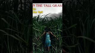 in the tall grass  HorrorReelsScaryVideosCreepyContentHorrorCommunitySpookyVibesGhostStories [upl. by Marks799]