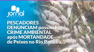 PESCADORES DENUNCIAM possível CRIME AMBIENTAL após MORTANDADE de Peixes no Rio Paraíba  JR [upl. by Hendren858]