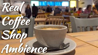 Coffee Shop Ambience  No Music [upl. by Kiker862]