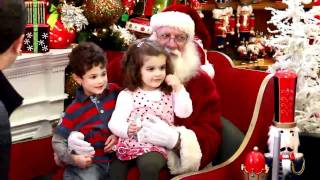 CHRISTMAS at McARDLES Florist amp Garden Center Greenwich CTmp4 [upl. by Pepillo]