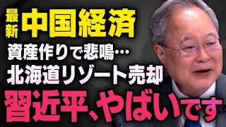 【中国経済が遂に…】習近平さんまでもう少し…中国が日本の不動産を売却し始めたことについて髙橋洋一さんが教えてくれました（虎ノ門ニュース切り抜き） [upl. by Dwane]