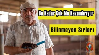 Solucan Gübresi Bu Kadar Kazandırır mı [upl. by Niawat920]