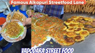 25 Saal Se Bech Rahe hai Vadodara ki Famous Alkapuri ki StreetFood  Vadodara Street Food [upl. by Anaujik558]