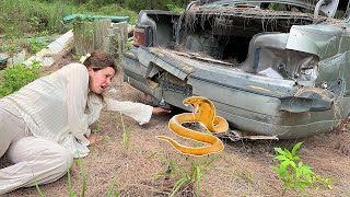 NEARLY ATTACKED ON SNAKE INFESTED ISLAND [upl. by Rebmak915]