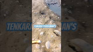 Tenkara Fishing fishing bassfishing fish bass mancing angler anglermania fypシ゚viral funny [upl. by Oeram]