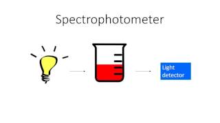 Three Minute Malic Acid Enzymatic Intro [upl. by Acissehc]