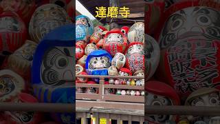 達磨（だるま）だらけ！群馬県高崎市の達磨寺Daruma temple in Takasaki city in Japan [upl. by Ahsenom707]