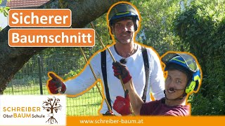 So schneidest du jeden Obstbaum sicher Baumklettern vom Profi erklärt [upl. by Erait]